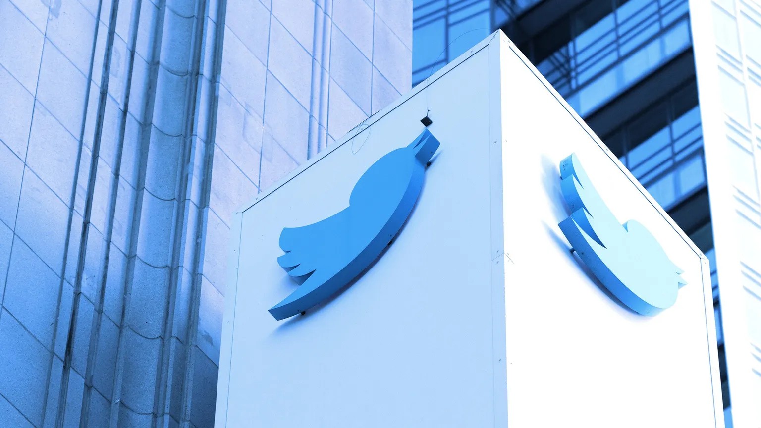 Глава отдела по работе с криптовалютой в Twitter покинула свой пост после сокращения штата Илоном Маском