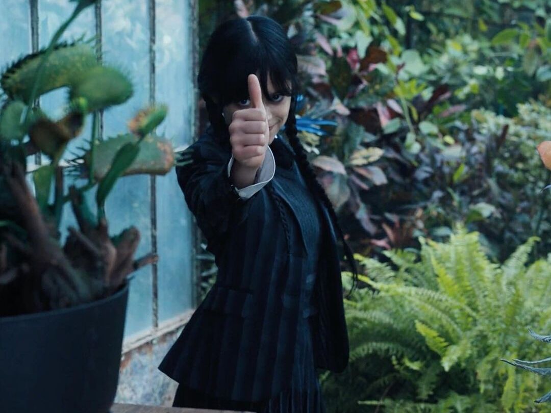 В сети показали, как выглядит трендовый танец из сериала "Уэнсдей" в исполнении украинских защитников под хит "Залужний мутить двіж". Видео