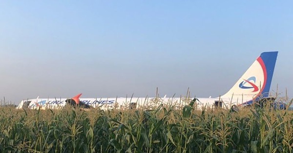 Máy bay A321 trượt trên cánh đồng ngô, 230 người thoát chết thần kỳ