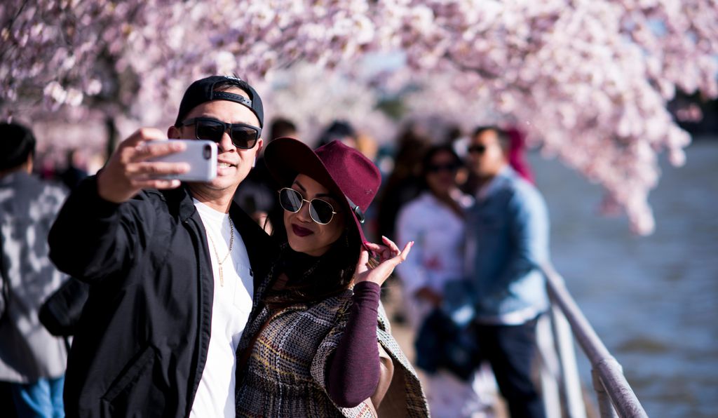 Cherry blossom selfies abound