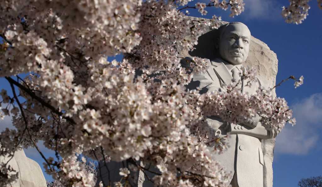 The Martin Luther King, Jr. Memorial overlooks cherry blossoms.