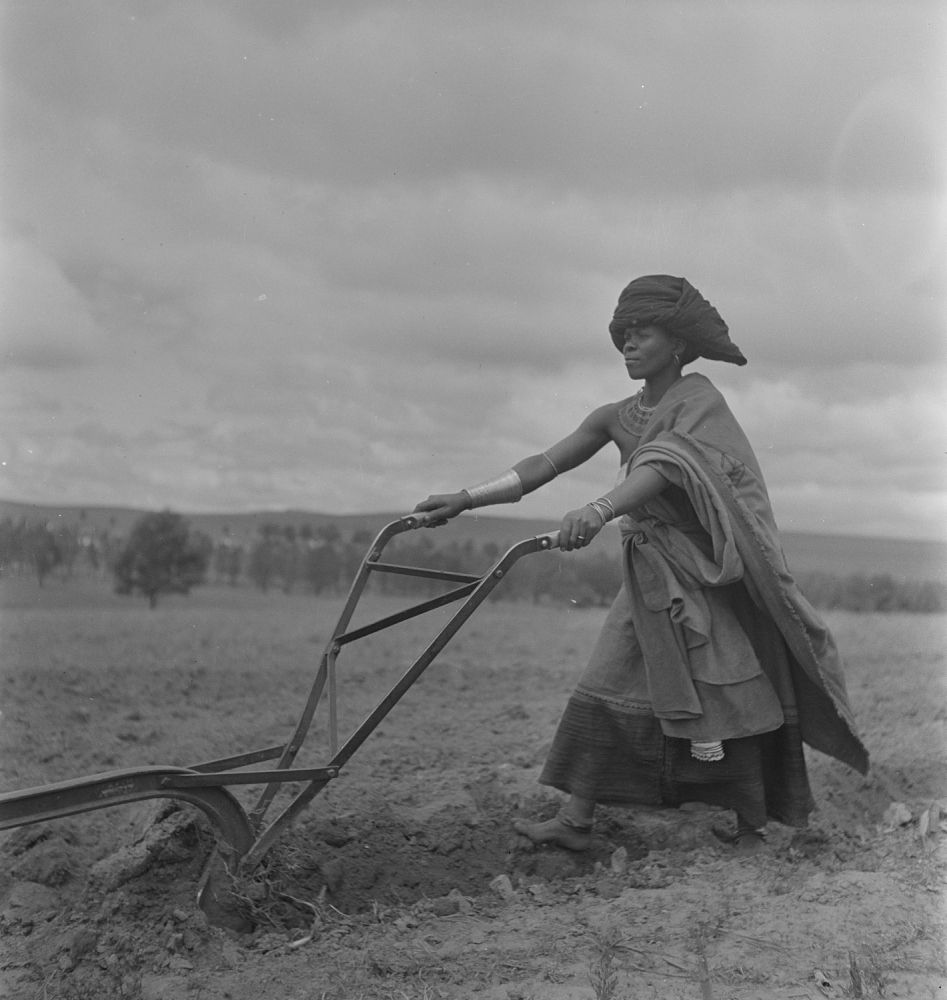 Xhosa woman plowing, Transkei, South Africa