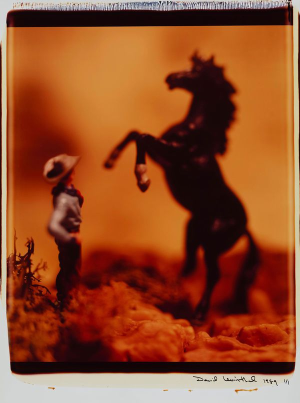 untitled_from_the_series_wild_west_1.jpg