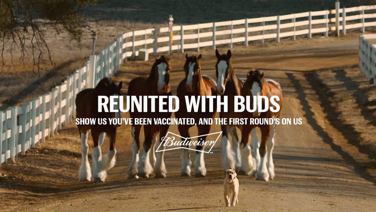 Budweiser giving away free beer for COVID vaccine with 'Reunited with Buds' giveaway. How to sign up.